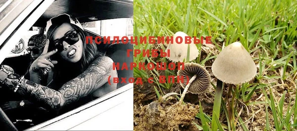 ГАЛЛЮЦИНОГЕННЫЕ ГРИБЫ Баксан