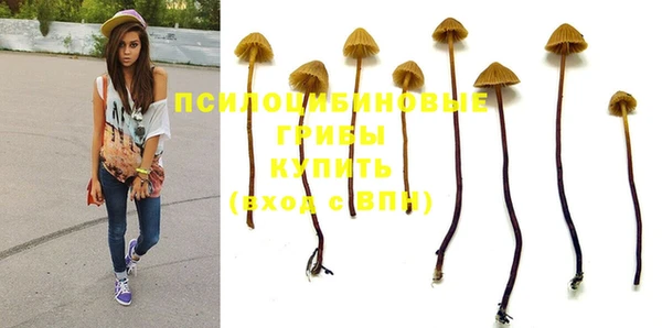 а пвп мука Балабаново