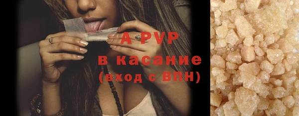 стаф Балахна