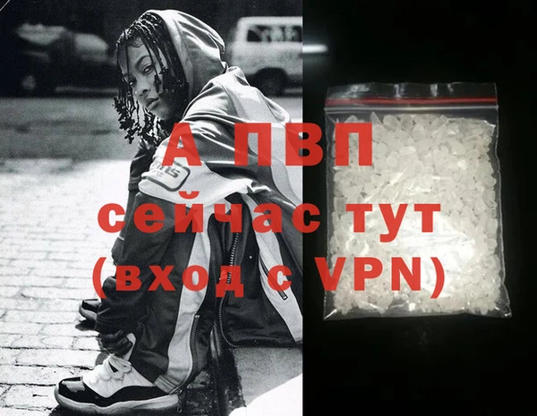 стаф Балахна