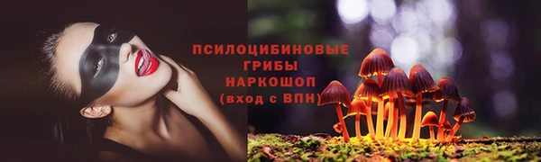 ГАЛЛЮЦИНОГЕННЫЕ ГРИБЫ Баксан