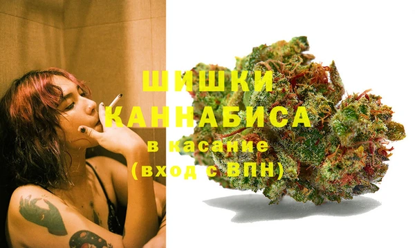 ГАЛЛЮЦИНОГЕННЫЕ ГРИБЫ Баксан